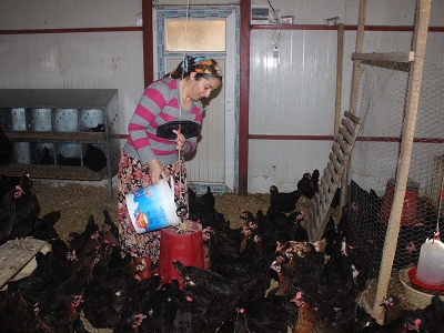 Hem evinin hem çiftliğin patronu