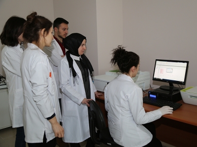 Fındık zarından yüksek antioksidanlı yağ