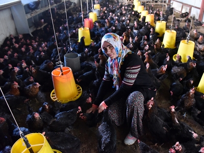 Şehir hayatından sıkılınca köyüne döndü