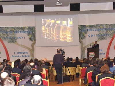 Balıkesir’de zeytin çalıştayı