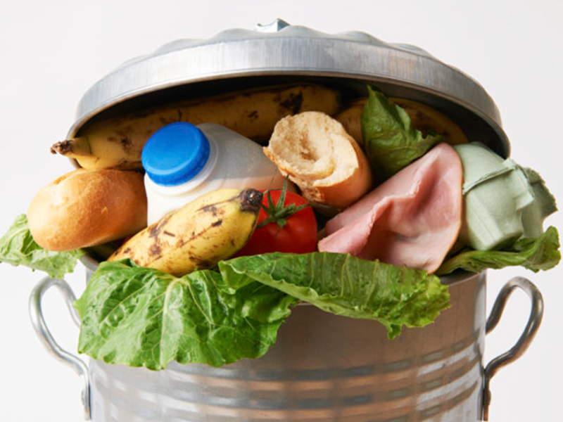Камера пищевых отходов