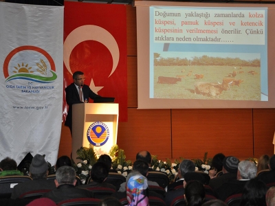 Besicilere hayvan sağlığı eğitimi