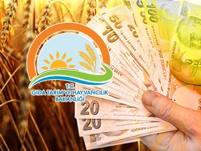 Bitkisel üretime destekleme ödemeleri