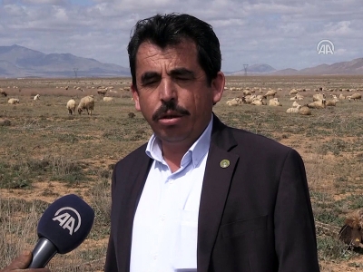 Koyun üreticileri dişi kuzuya ek destek istiyor