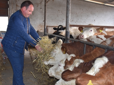 Dişi hayvan kesimleri azaldı