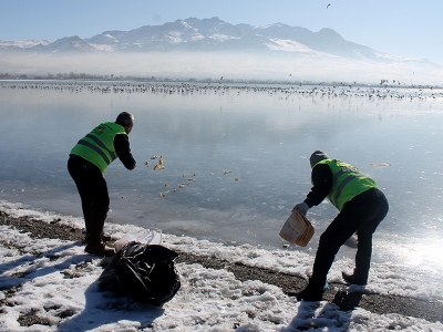 Buz tutan göle yem bıraktılar