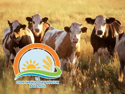 Konforlu nakile erteleme