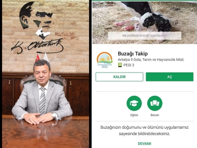 Buzağı takip sistemi android uygulaması hayata geçti