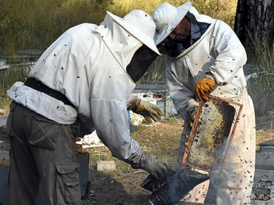 60 milyon liralık destek