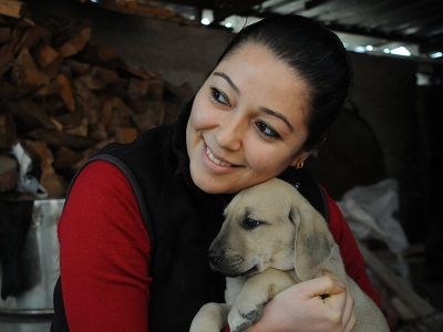 Yavru köpeklere yuva oldular