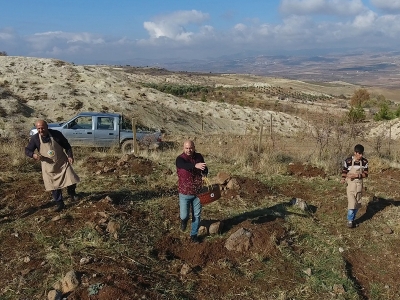 Arıcılar için bal ormanı yapıldı