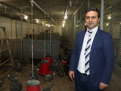 ATAK-S’ler organik yumurta üretecekler