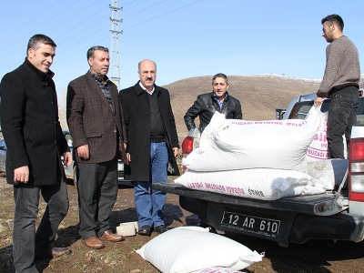 2018’in ilk buzağısına ödül