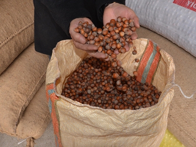 Fındıkta TSK sevinci