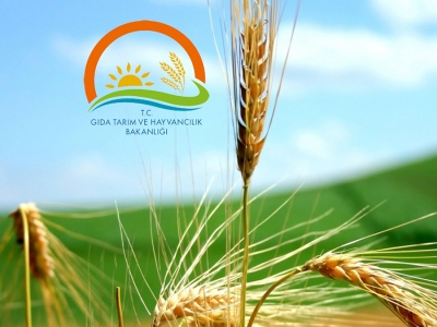 Tarımda enerji verimli projeler desteklenecek