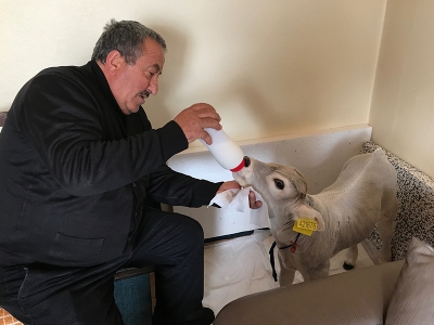 Bakan Fakıbaba Ümitcan için tweet attı