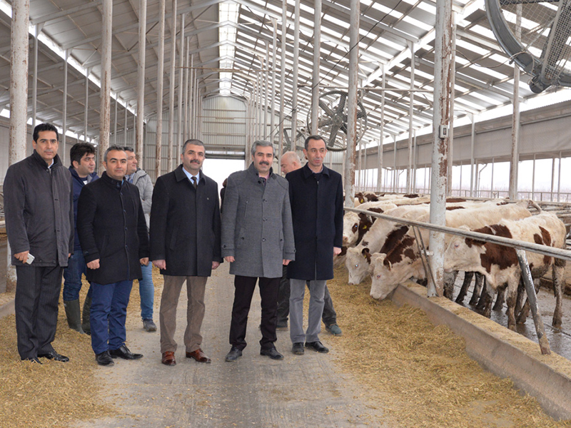 &quot;Damızlık Düve Üretim Merkezi&quot; kuruluyor İllerden Tarım TV