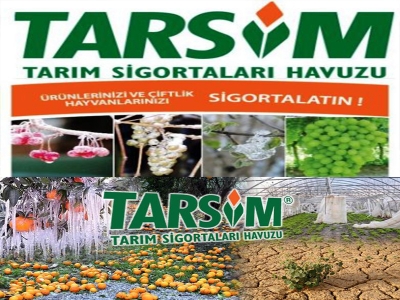 TARSİM’den 11 yılda 4 milyar lira hasar ödemesi