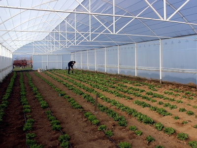 Genç çiftçilerin büyük hedefleri