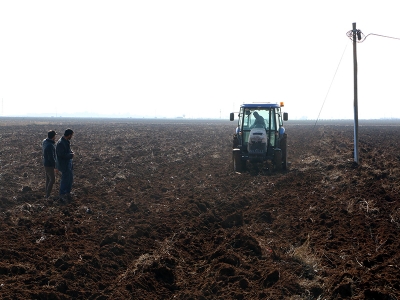 Yağışlar GAP çiftçisine nefes aldırdı