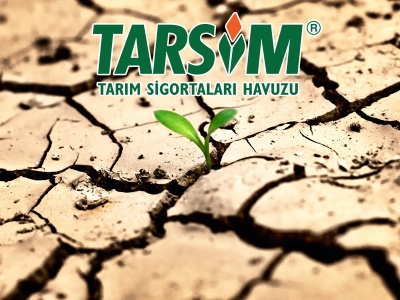Kuraklık sigortasında poliçe kabul tarihi uzatıldı