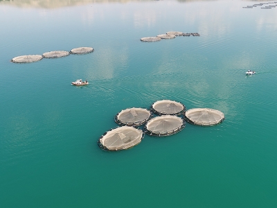 Fırat’ın balıkları dünyaya ihraç ediliyor
