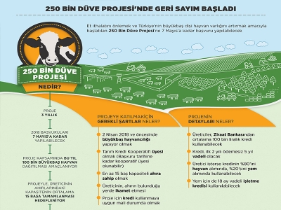 250 Bin Düve Projesi'nde geri sayım başladı
