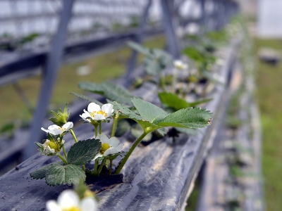 Eskiden çöplüktü