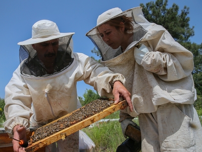 Devlet desteği arıcı çifti ihya etti