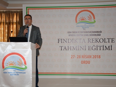 Fındıkta rekolte tahmini eğitimi Ordu’da yapıldı