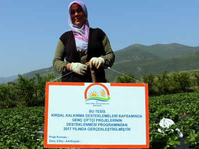 Hibe desteğiyle organik çilek yetiştiriyor