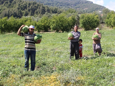 Hatay karpuzuna rağbet artıyor