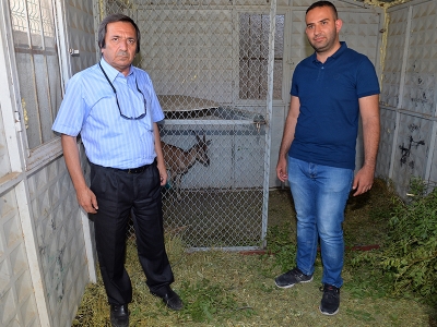 Tarım ve Orman Bakanlığı’nın yaban hayatına desteği sürüyor