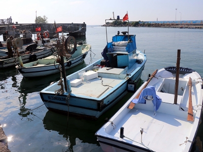 Düzce’deki balıkçılar yeni sezondan umutlu
