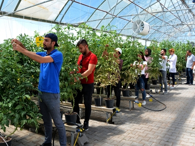 Bozkır seralarla yeşeriyor