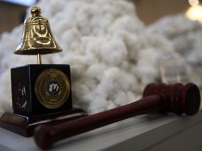 İlk pamuk elektronik ortamda satıldı