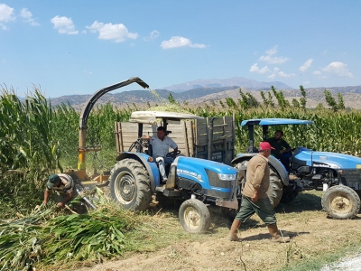 İzmir’de mısır üretimi arttı