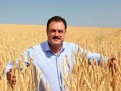 Bitlis’te hububat hasadı başladı