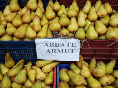 Köyünde meyve yetiştiriciliğinin önderi oldu