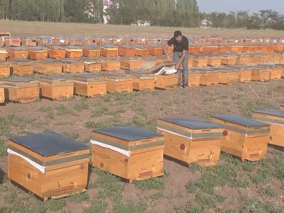 Genç çiftçilere arı kovanı desteği