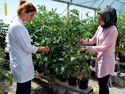 Sera üretiminde yerli kaynaklar araştırılıyor