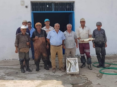 Denizi olmayan Manisa'dan Uzak Doğu'ya balık ihracatı