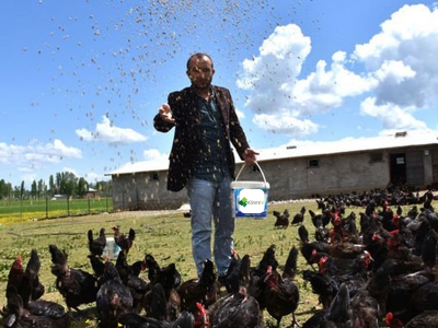 Köyüne dönerek tavuk çiftliği kurdu