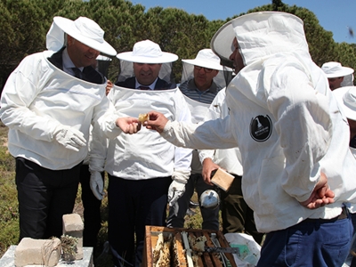 Çanakkaleli arıcılar sertifika aldı