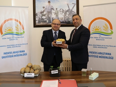 Yerli patates Nahita dünyaya açılıyor