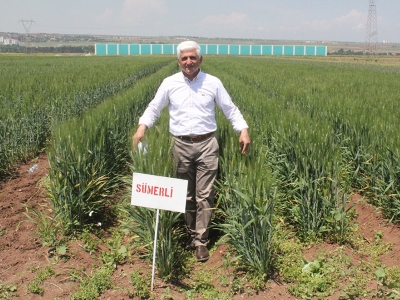 İki yeni çeşit tescillendi
