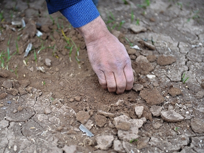 Mardin Ovası suyla buluşacak, üretim katlanacak