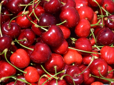 Dalbastı yüzleri güldürdü