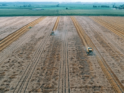 Hükümlüler tarım ürünü yetiştiriyor