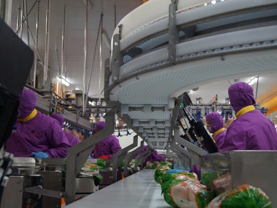 Japonlar Türk tavuğunu sevdi